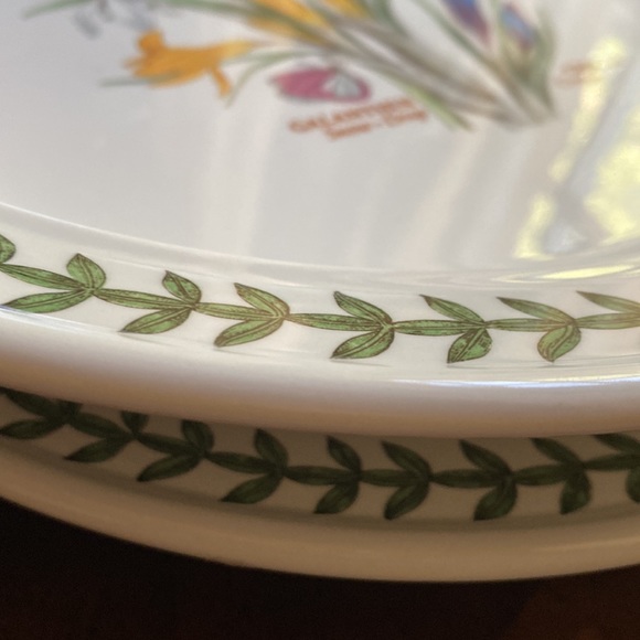 2 Portmeirion dinner plates 10.5” in 1.5” deep pasta GALANTHUS CROCUS England - Picture 11 of 12